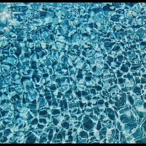 Meet your Posher, Ella